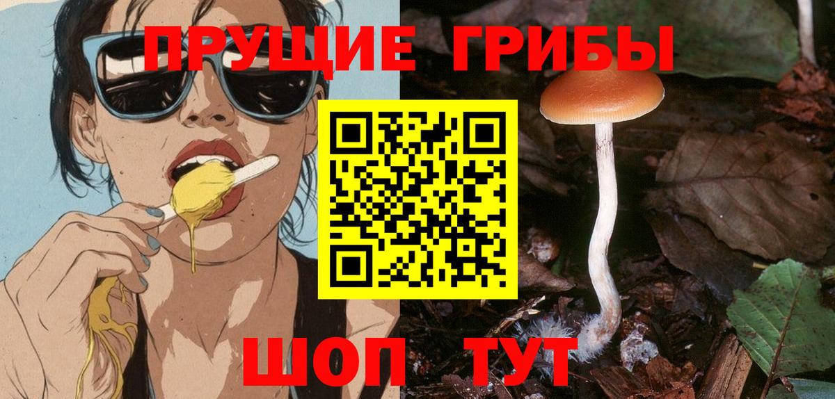 Псилоцибиновые грибы Magic Shrooms Урюпинск