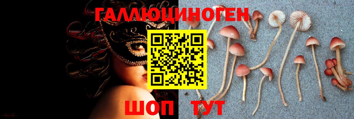 Галлюциногенные грибы Psilocybine cubensis  Вход с VPN  Галлюциногенные грибы Magic Shrooms  Урюпинск 